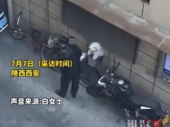 聊聊:大爷爱犬去世后为陌生女子遛狗 12年无偿陪伴