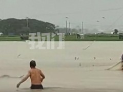 说说:广西捕蛇者出动：两天抓了两三千条洪水后救援行动