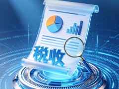 说说:税收“晴雨表”照见中国经济动能向新 数据显亮点