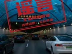 [快讯]大连湾海底隧道能看到鲨鱼不实 城市管理局辟谣