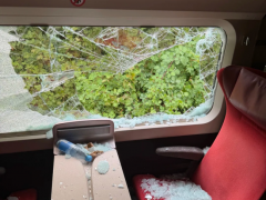 [快讯]中国游客在德国遭遇铁路故障 车厢闷热乘客砸窗透气