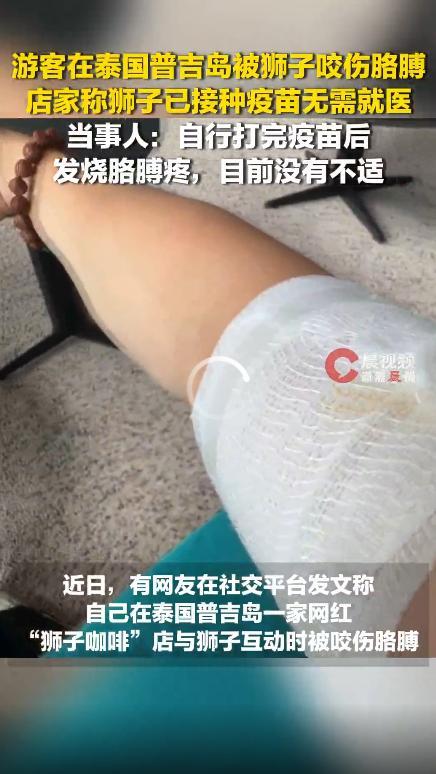 中国游客在普吉岛咖啡店被狮子咬伤