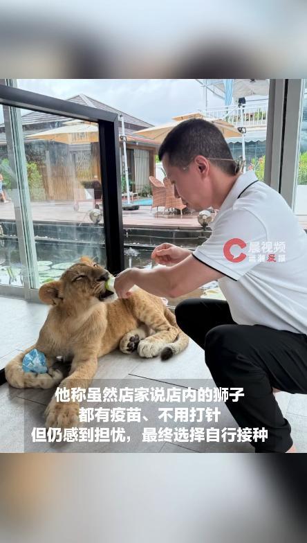 中国游客在普吉岛咖啡店被狮子咬伤 自行接种疫苗引发关注