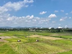 [快讯]我国将深入实施优质粮食工程 提升产业质量和效益