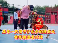 [快讯]消防汪汪队退役的小战士有新家了