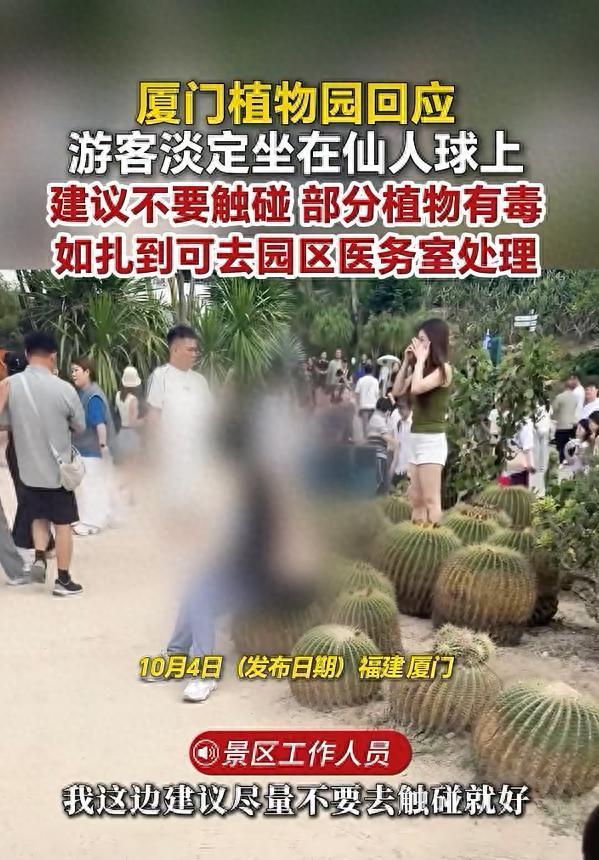 厦门一游客淡定坐在仙人球上