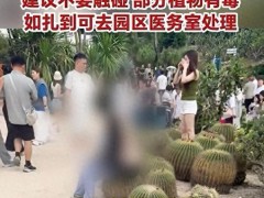 ✔厦门一游客淡定坐在仙人球上 景区建议勿触碰植物