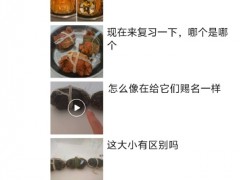 【快讯】买了三个螃蟹吃发了十条朋友圈